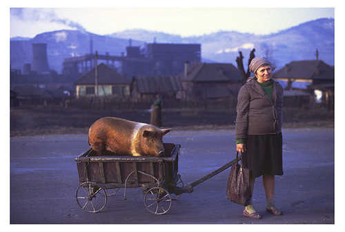 Funny Romanian Pictures