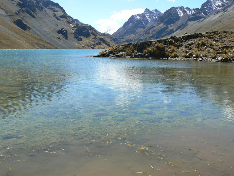 LA PROBLEMATICA DE LOS RECURSOS NATURALES la problematica de los recursos naturales: