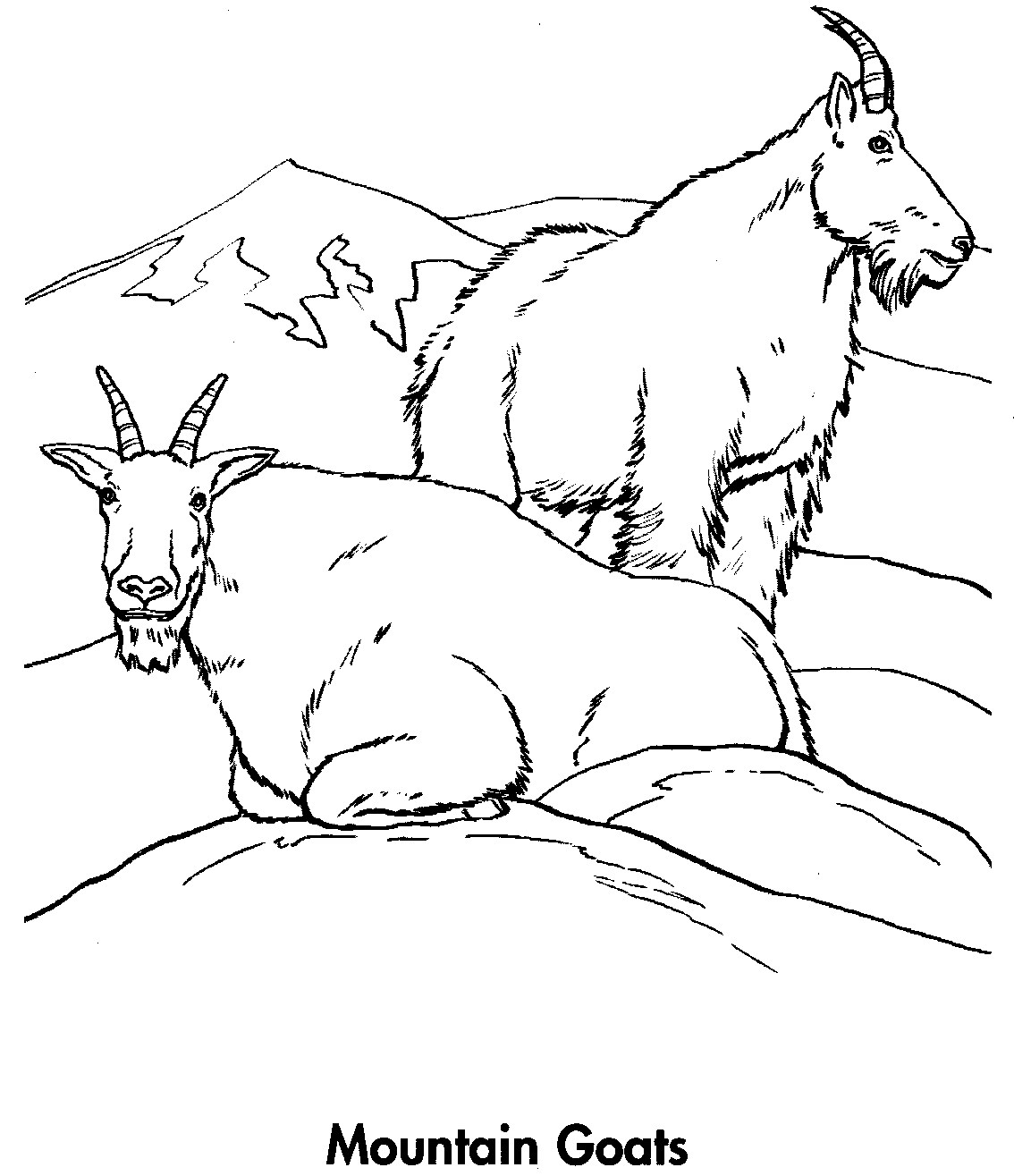 Coloring Pages Of Mountain Animals : Mountain goat coloring pages for adults best Coloring Pages Of Mountain Animals : Mountain goat coloring pages for adults best
