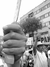 Un sólo corazón... muchas manos para luchar