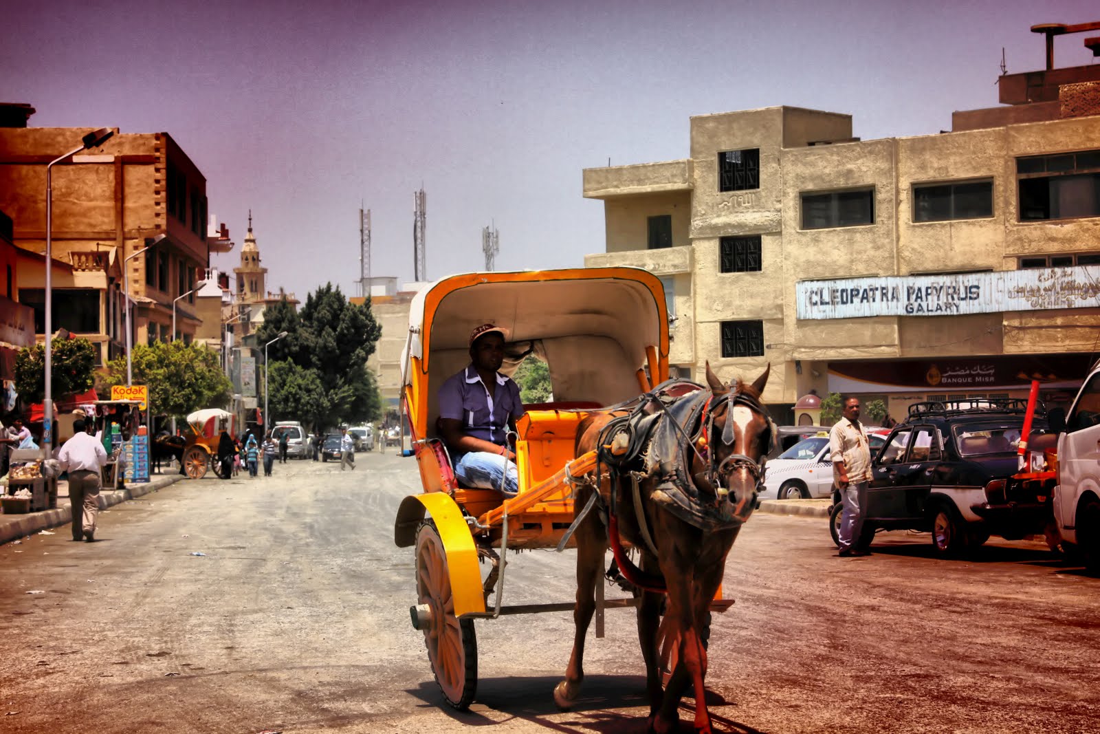 Horse Taxi