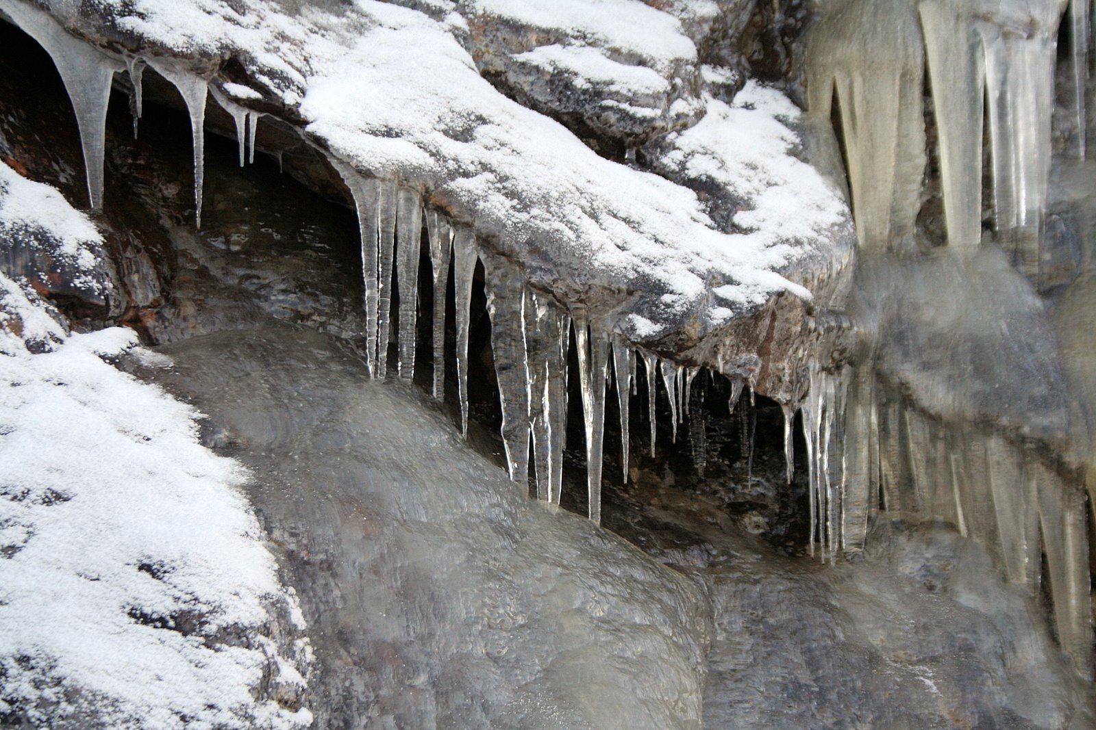 [IMG_0364.JPG]