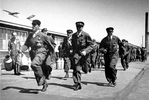 research essay concentration camps