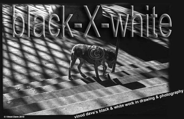 black-X-white