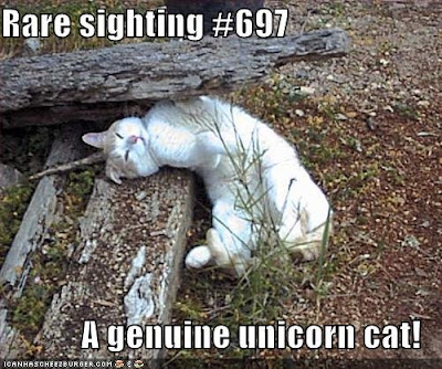 Are Unicorn Real