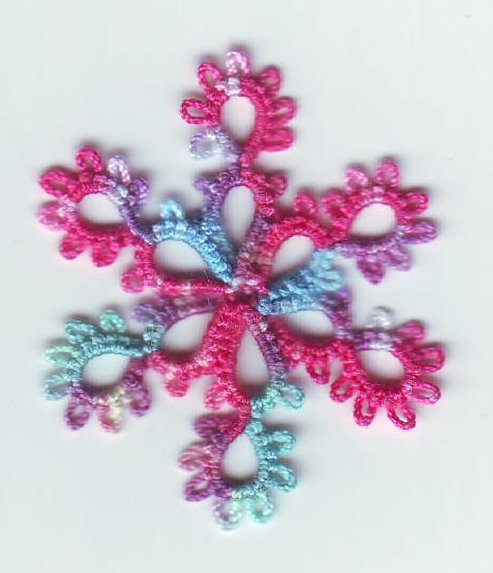 [Floret+Snowflake+Tropicana.JPG]