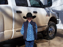 Little cowboy