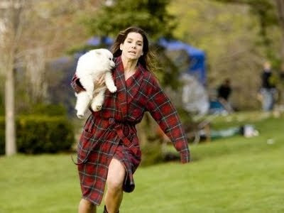 Sandra Bullock in The Proposal