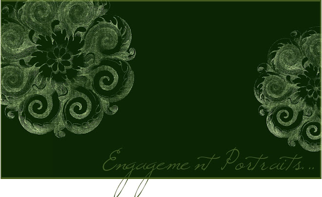 Kincaid Expressions Engagement Portraits