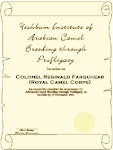 Camel Breeding certificate