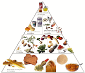 Food Pyramid