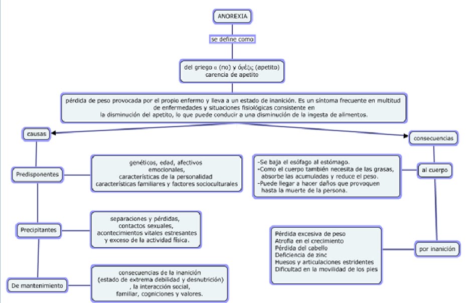 Anorexia essays