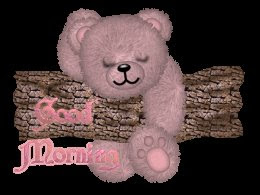 Good morning to all !