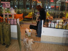 The "Puppy Cafe"