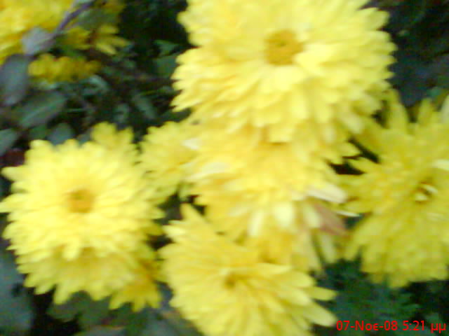 [DSC00280.JPG]