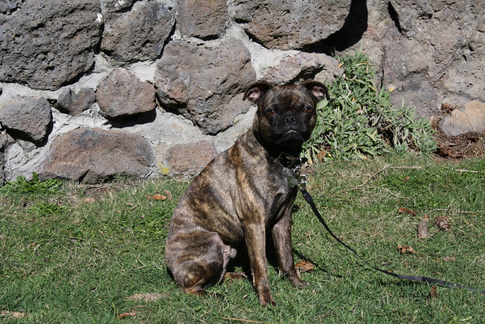 [IMG_8205.JPG]