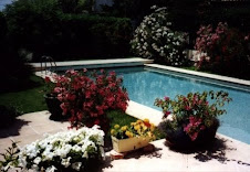 L’Huorst La superbe piscine dans son écrin de fleurs