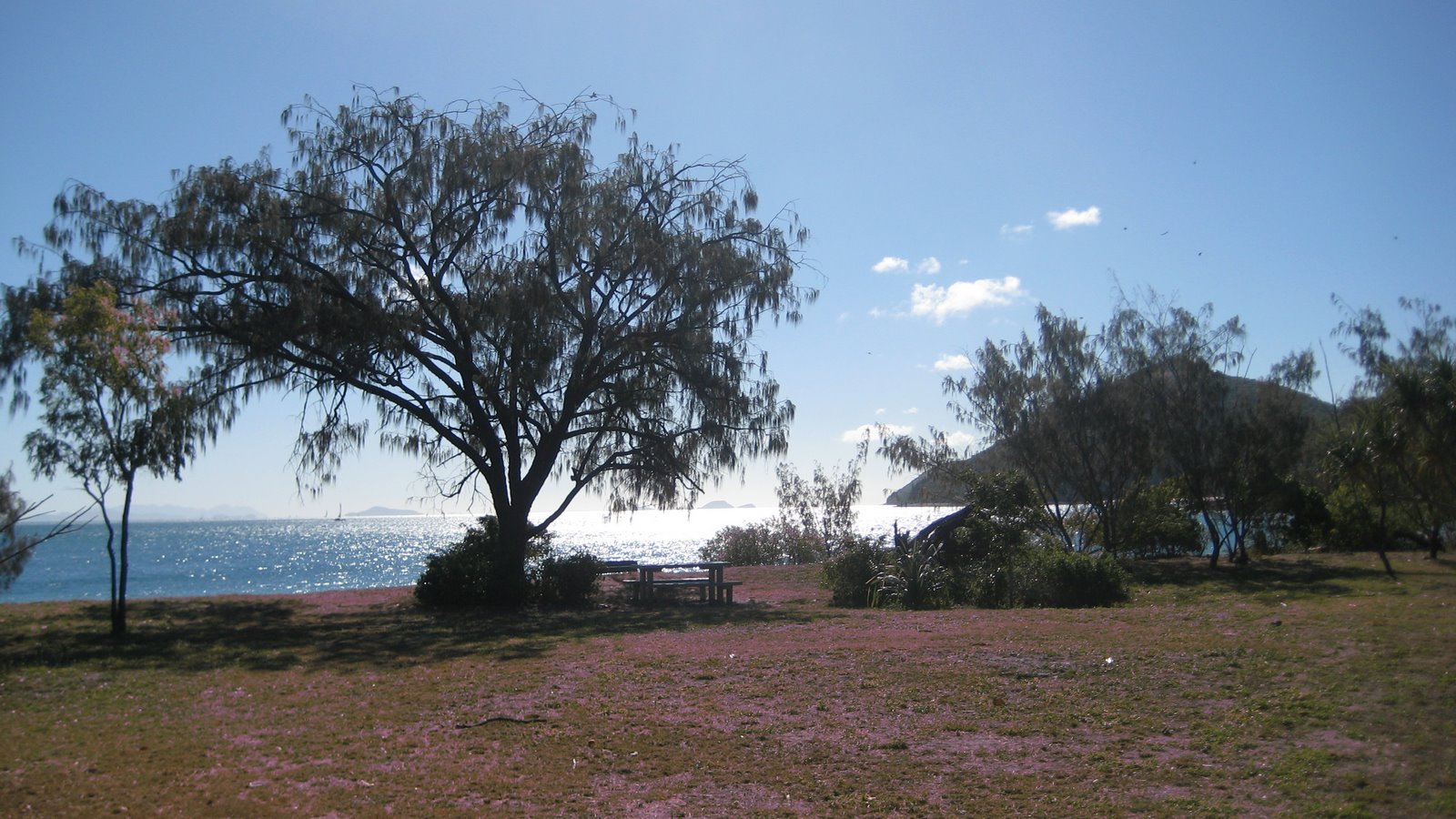 [IMG_2538.JPG]