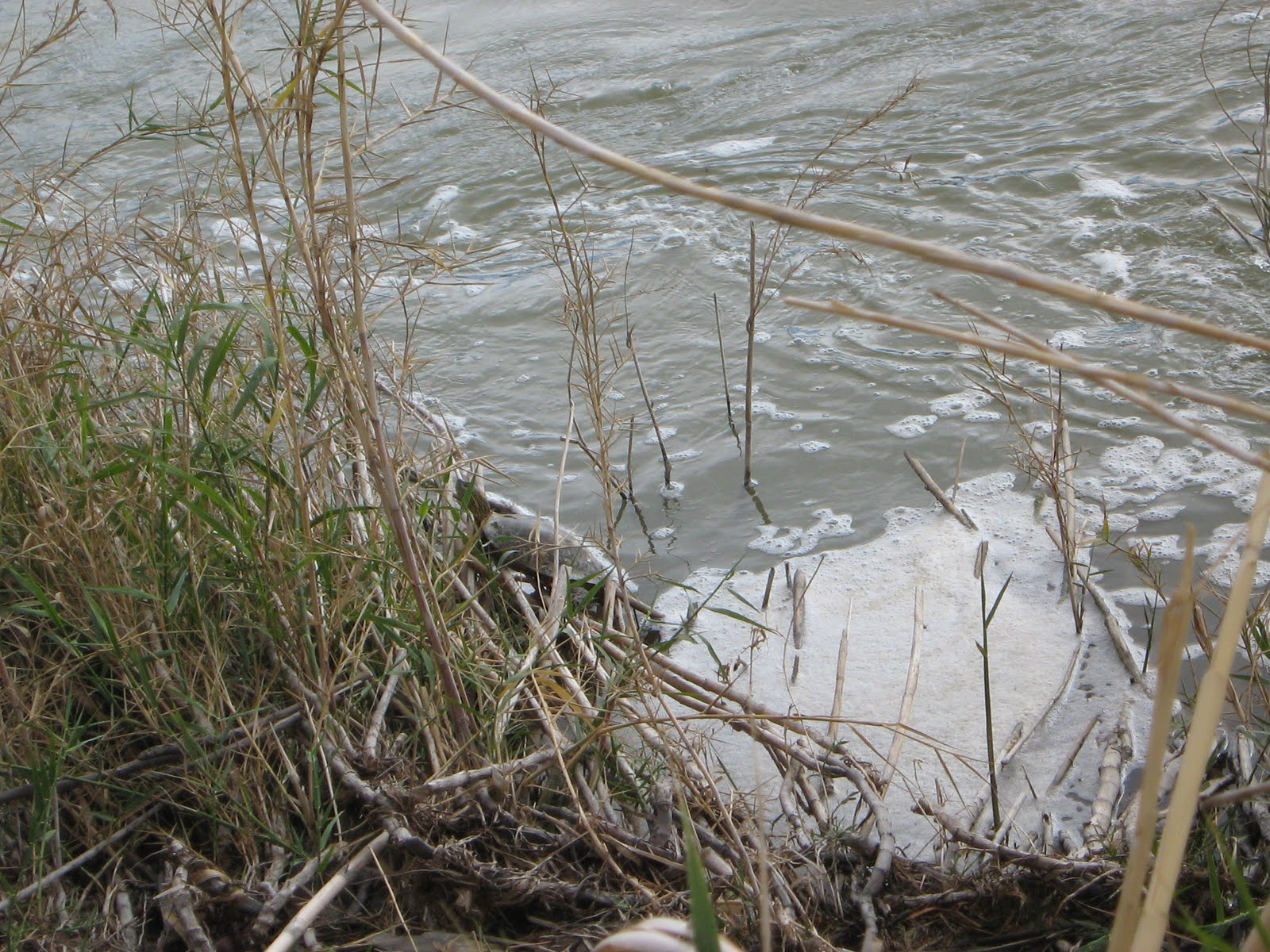 [IMG_0357.JPG]
