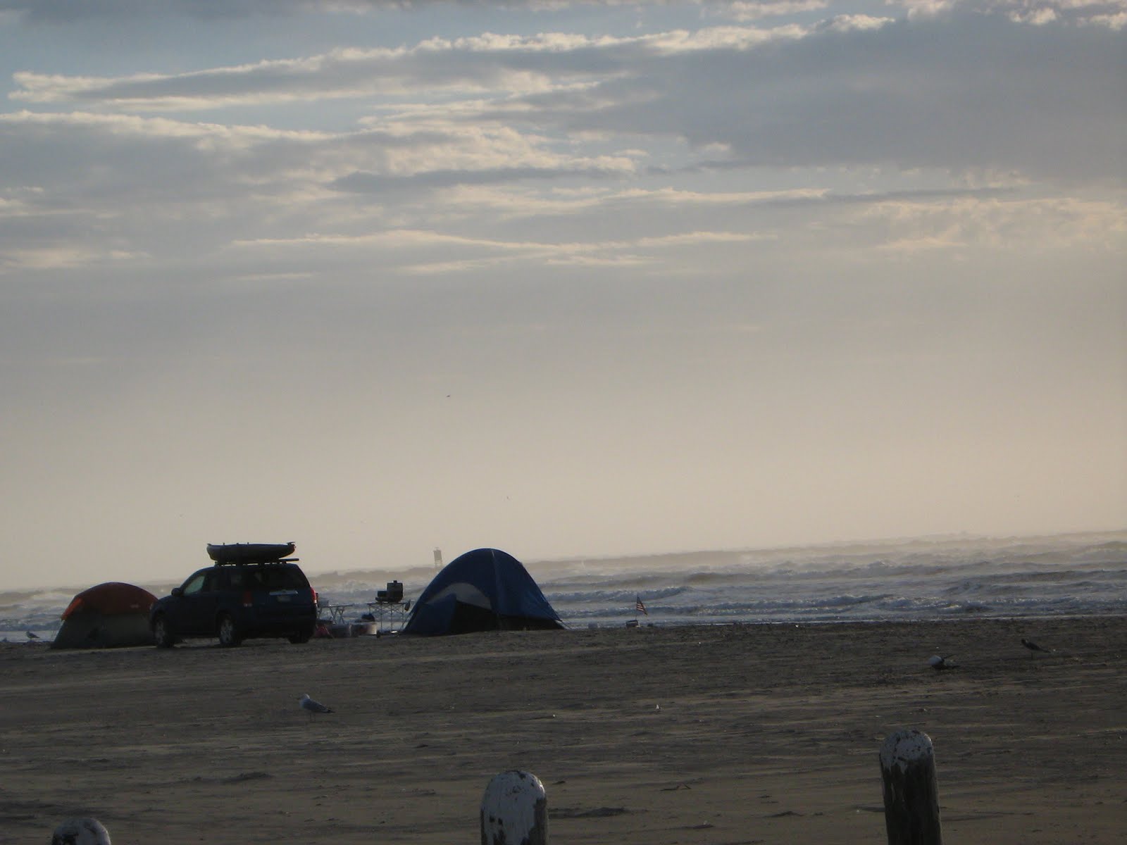 [IMG_0646.JPG]