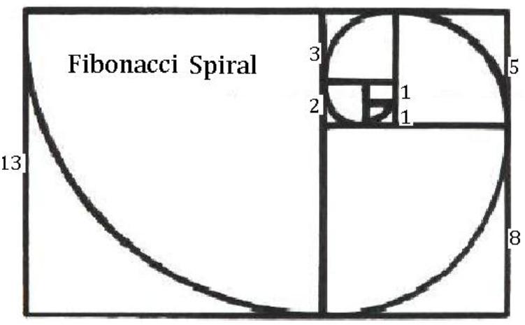 Fibonacci Ear