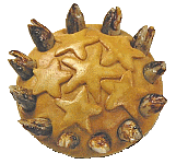 color photo of a reproduction of a Tudoor Star Gazey pie