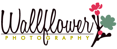Wallflower Photography