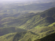 Alto do Boachá - Corrego do Santo Antonio - Bicuiba