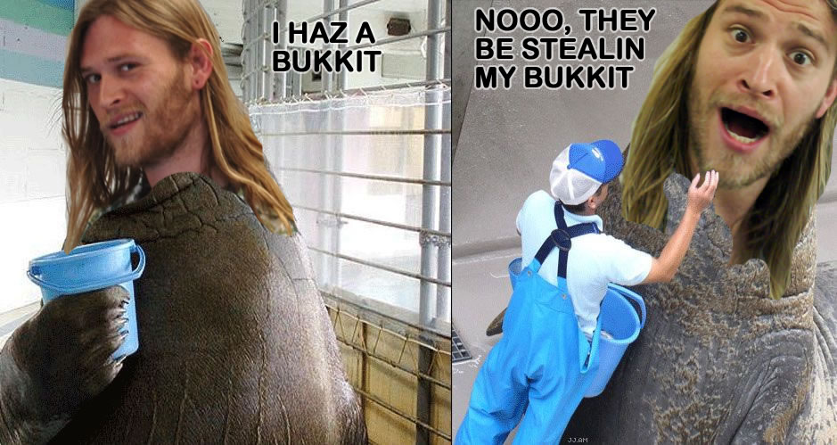[bukkit[1].jpg]