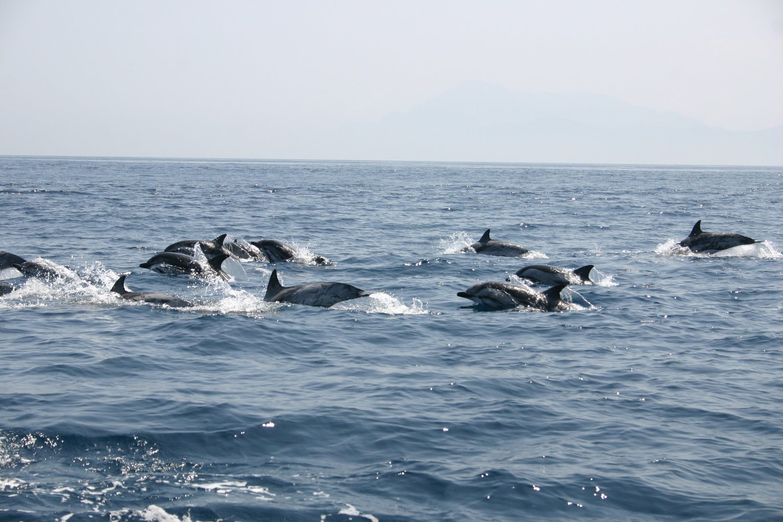 [08.08.06+003.jpg]