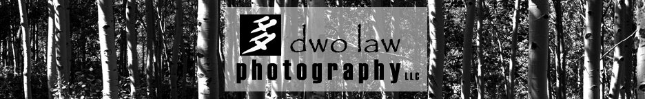 Dwo Law Photography, LLC