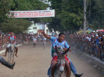 A cidade que só é jardim!