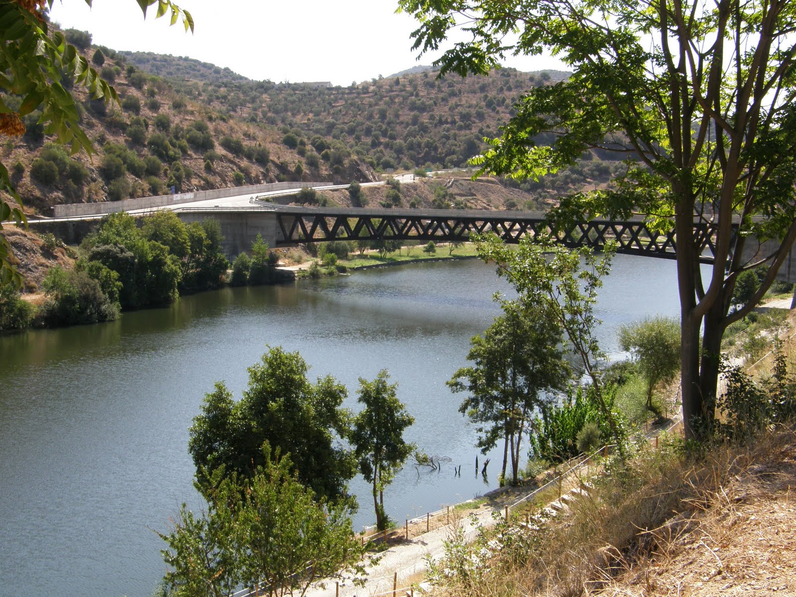 [P9071435.JPG]