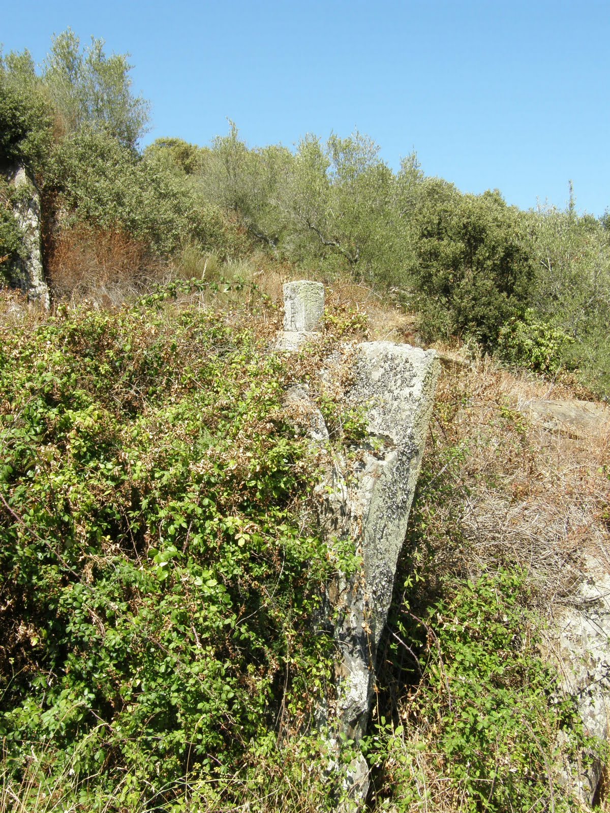 [P9071450.JPG]