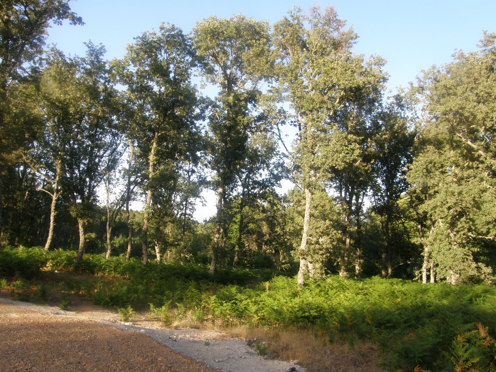 [P7120908.JPG]