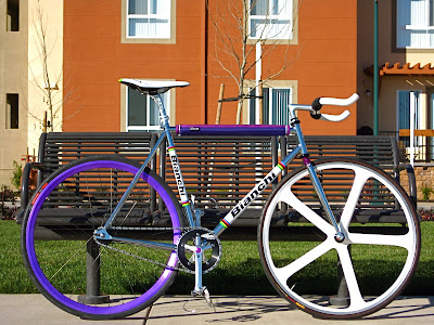 Custom Bianchi Pista