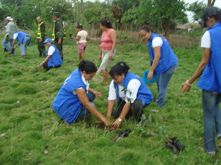 BLOG YORLEDY: JORNADA DE ARBOLIZACION.....