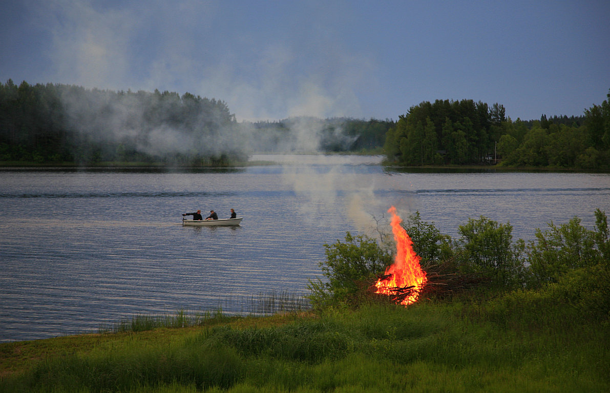 kokko2.jpg