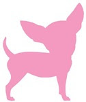 pink Chihuahua!