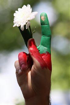 [afp_16086366_24420+iran.jpg]