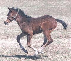 Born to RUN! (Rachel at 1 month old)