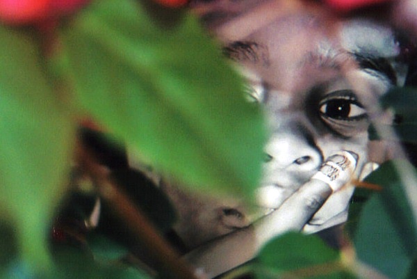 Taylor in the bushes