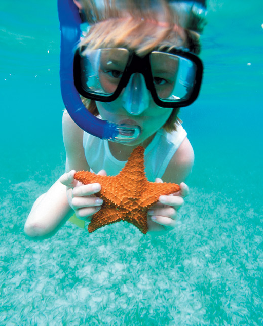 Belitong Store Site How to Snorkel A Guide on snorkeling basics and