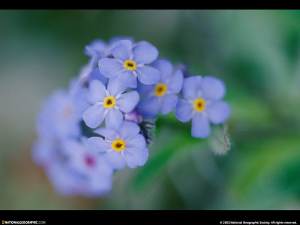 Mis imagenes