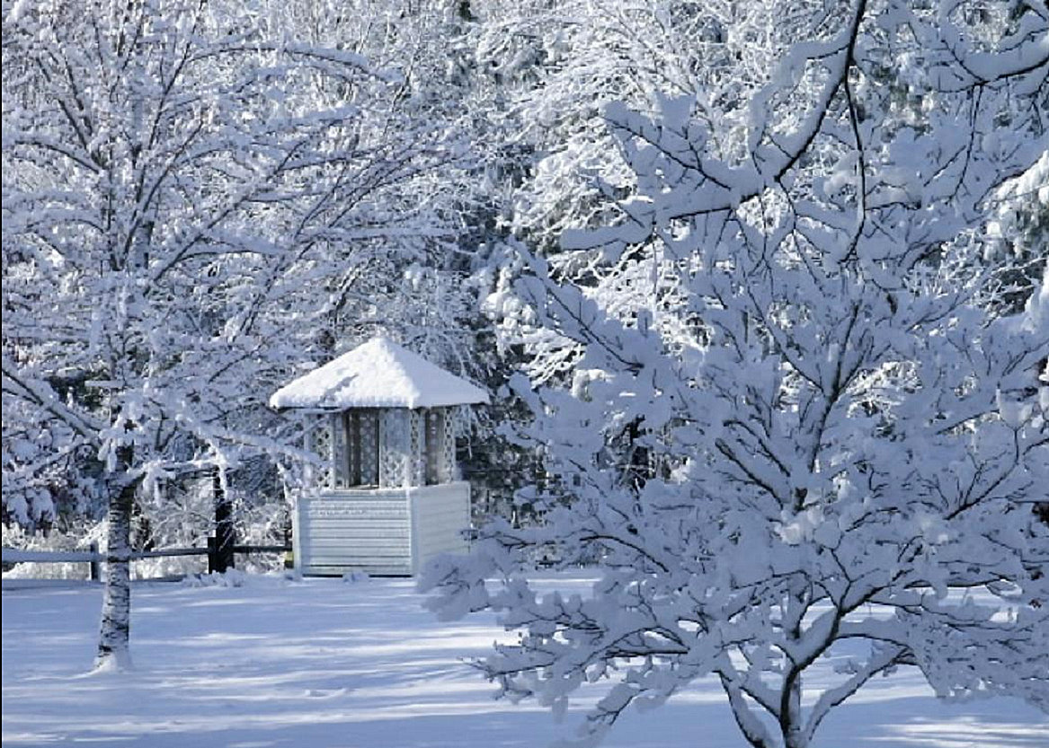 [Baby...Outside1a.jpg]