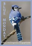 Boasting Blues on Mondays