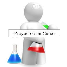 Proyectos en Curso
