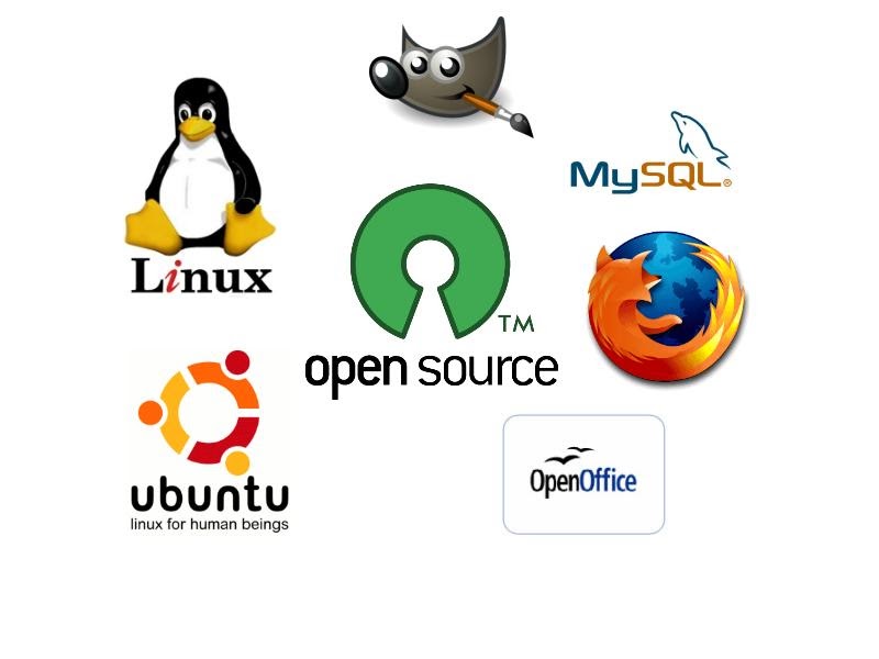 Strictly for Champions. Open Source Software in Malaysia