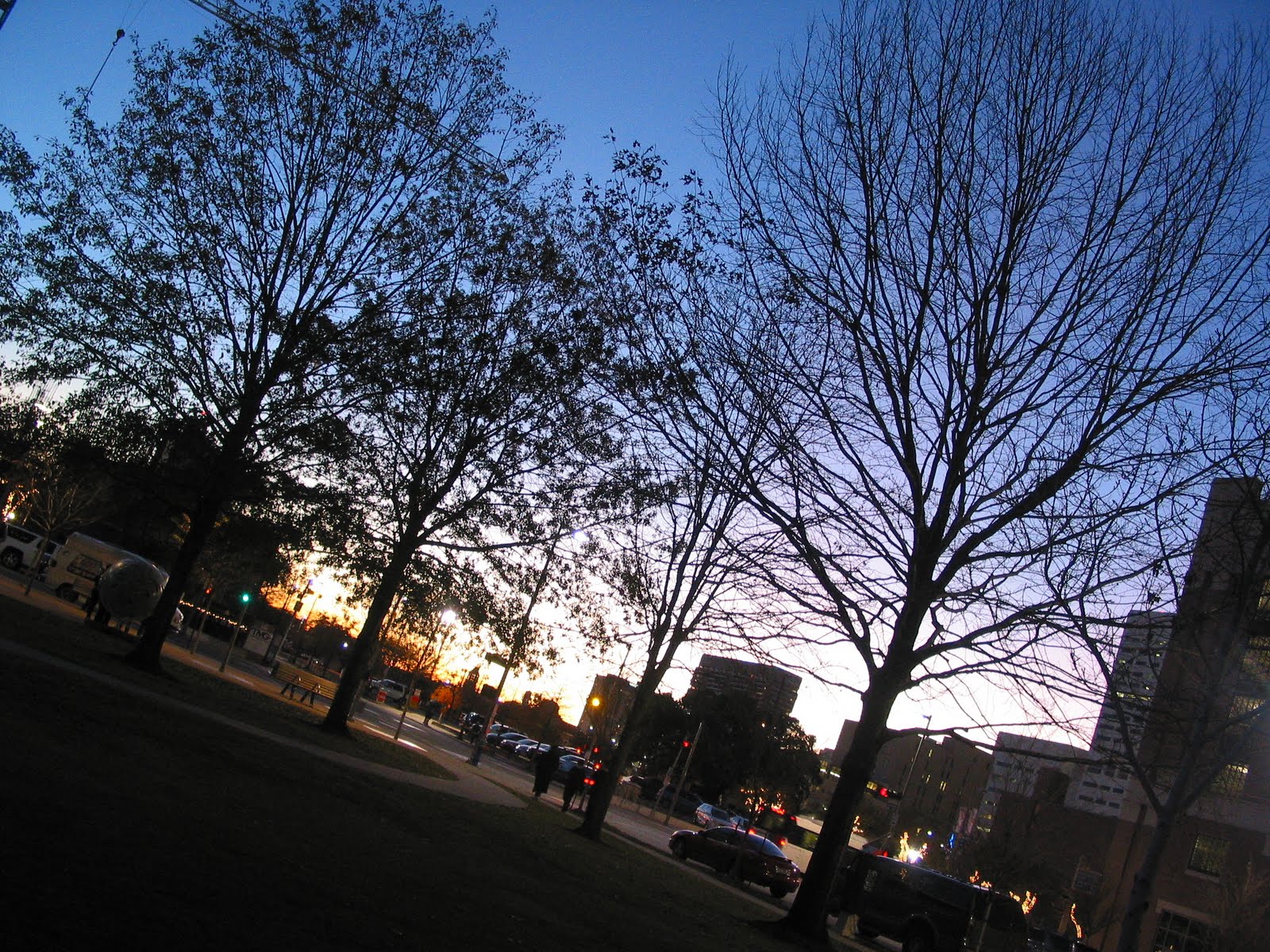 [IMG_0647.JPG]