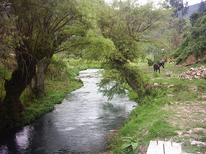 El rio  conchano